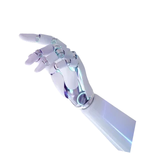 Custom animations in mobile shopping platforms